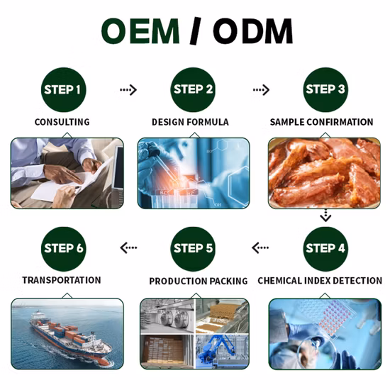 Organic Fish Flavor Cat Food Staple Food Export Quality Dry Dog Food Pet Products Cat Staple Food