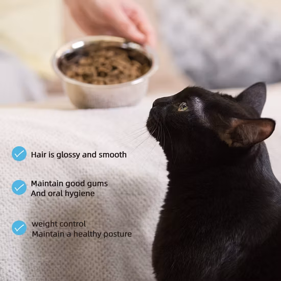 OEM Fresh Meat Baked Dry Cat Food Baked Pet Food Chinese Supplier